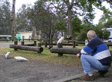 Royal National Park