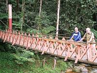 Cameron Highlands