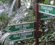 Taman Negara